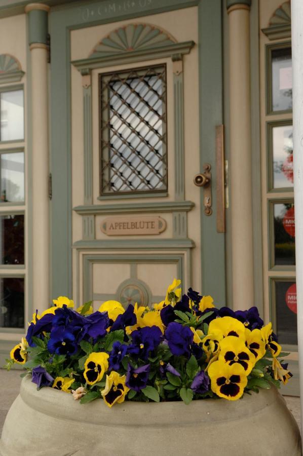 Apfelbluete Bed & Breakfast 8 Km Vom Bodensee ซาเลม ภายนอก รูปภาพ